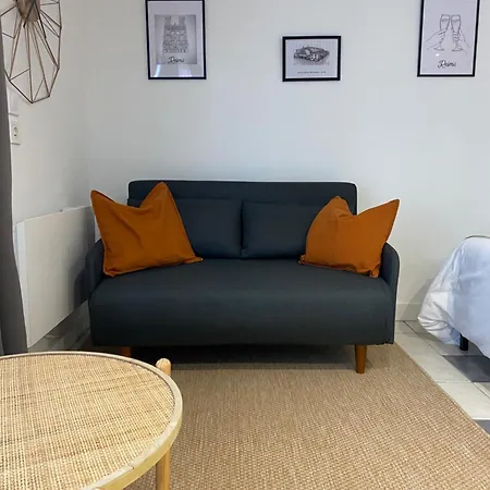 Appartement Entier Rez De Maison Avec Exterieur Proche Reims *